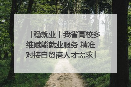 稳就业丨我省高校多维赋能就业服务 精准对接自贸港人才需求