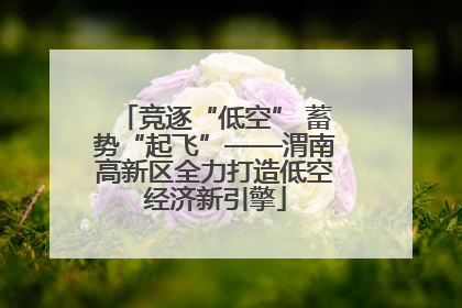竞逐“低空” 蓄势“起飞”——渭南高新区全力打造低空经济新引擎