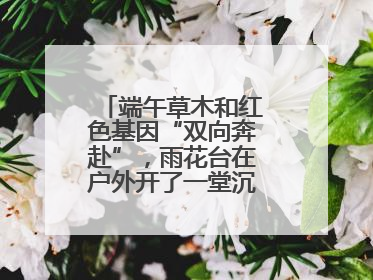 端午草木和红色基因“双向奔赴”，雨花台在户外开了一堂沉浸式思政课