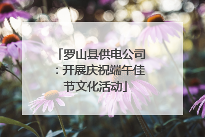 罗山县供电公司：开展庆祝端午佳节文化活动