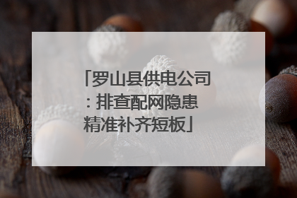 罗山县供电公司：排查配网隐患 精准补齐短板