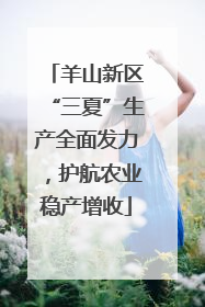 羊山新区“三夏”生产全面发力，护航农业稳产增收