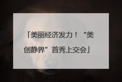美丽经济发力！“美创静界”首秀上交会