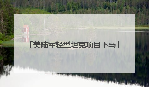 美陆军轻型坦克项目下马