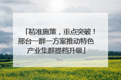 精准施策，重点突破！邢台一群一方案推动特色产业集群提档升级