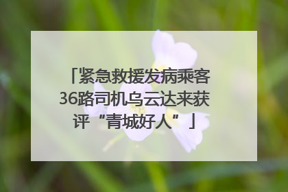 紧急救援发病乘客 36路司机乌云达来获评“青城好人”