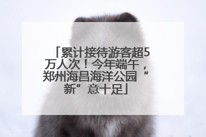 累计接待游客超5万人次！今年端午，郑州海昌海洋公园“新”意十足