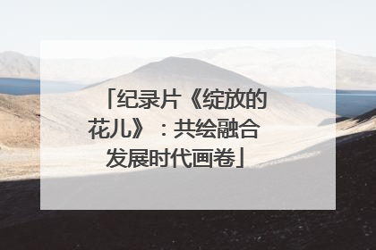纪录片《绽放的花儿》：共绘融合发展时代画卷