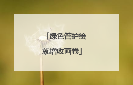 绿色管护绘就增收画卷