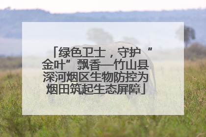 绿色卫士，守护“金叶”飘香—竹山县深河烟区生物防控为烟田筑起生态屏障