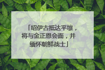 绍伊古抵达平壤，将与金正恩会面，并缅怀朝鲜战士