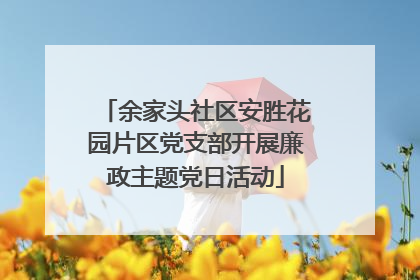 余家头社区安胜花园片区党支部开展廉政主题党日活动