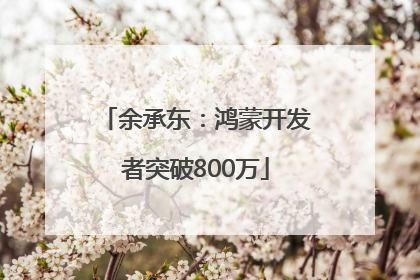 余承东：鸿蒙开发者突破800万