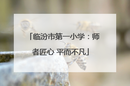 临汾市第一小学：师者匠心 平而不凡