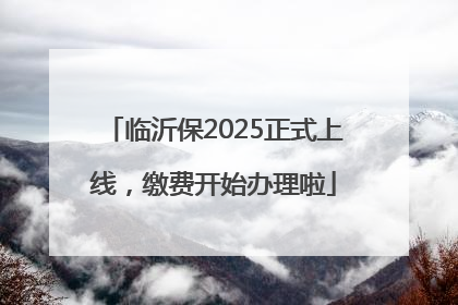 临沂保2025正式上线，缴费开始办理啦