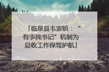 临泉县韦寨镇：“有事找书记”机制为夏收工作保驾护航