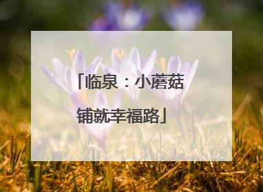 临泉：小蘑菇铺就幸福路