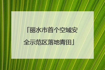 丽水市首个空域安全示范区落地青田