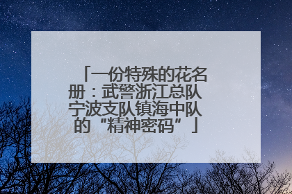 一份特殊的花名册：武警浙江总队宁波支队镇海中队的“精神密码”