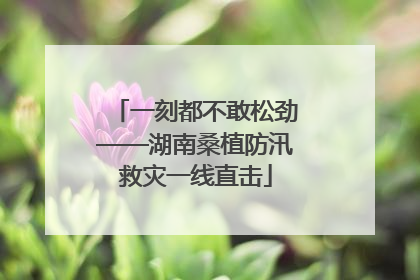 一刻都不敢松劲——湖南桑植防汛救灾一线直击