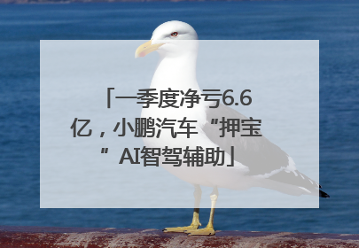 一季度净亏6.6亿，小鹏汽车“押宝”AI智驾辅助