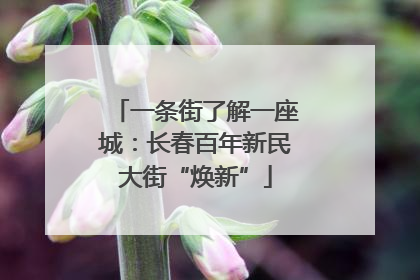 一条街了解一座城：长春百年新民大街“焕新”