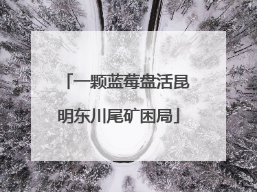 一颗蓝莓盘活昆明东川尾矿困局