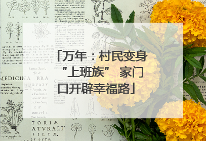 万年：村民变身“上班族” 家门口开辟幸福路
