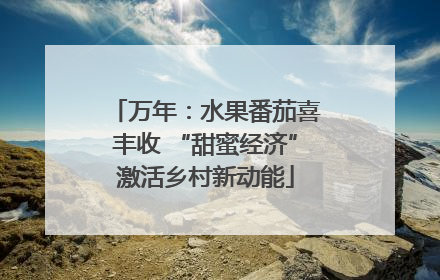万年：水果番茄喜丰收 “甜蜜经济”激活乡村新动能