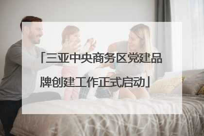 三亚中央商务区党建品牌创建工作正式启动