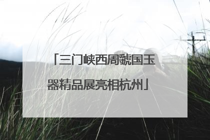 三门峡西周虢国玉器精品展亮相杭州