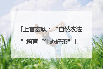 上官宏耿：“自然农法”培育“生态好茶”