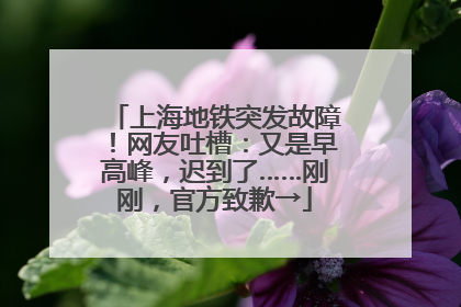上海地铁突发故障！网友吐槽：又是早高峰，迟到了……刚刚，官方致歉→