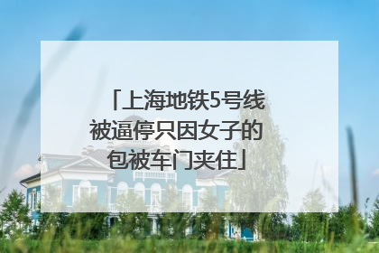 上海地铁5号线被逼停只因女子的包被车门夹住