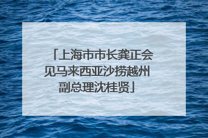 上海市市长龚正会见马来西亚沙捞越州副总理沈桂贤
