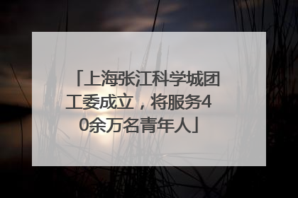 上海张江科学城团工委成立，将服务40余万名青年人