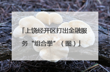 上饶经开区打出金融服务“组合拳”（图）