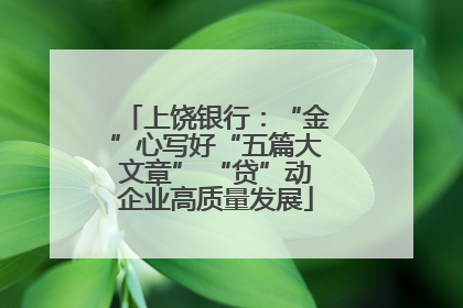 上饶银行：“金”心写好“五篇大文章” “贷”动企业高质量发展
