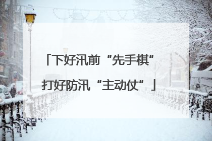 下好汛前“先手棋” 打好防汛“主动仗”