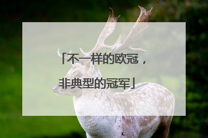不一样的欧冠，非典型的冠军