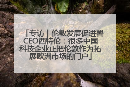 专访丨伦敦发展促进署CEO西特伦：很多中国科技企业正把伦敦作为拓展欧洲市场的门户