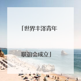 世界丰泽青年联谊会成立