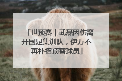 世预赛｜武磊因伤离开国足集训队，伊万不再补招顶替球员