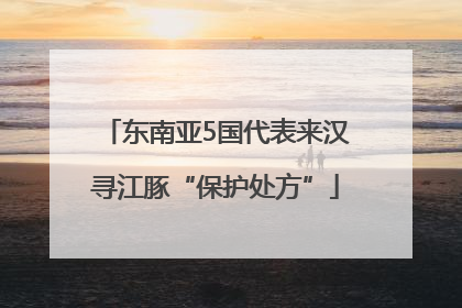 东南亚5国代表来汉寻江豚“保护处方”