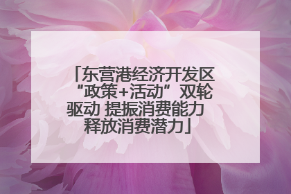 东营港经济开发区“政策+活动”双轮驱动 提振消费能力 释放消费潜力