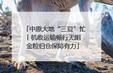 中原大地“三夏”忙丨机收运输畅行无阻 金粒归仓保障有力
