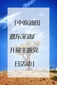 中原油田濮东采油厂开展主题党日活动