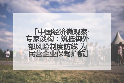 中国经济微观察·专家谈构：筑抵御外部风险制度防线 为民营企业保驾护航