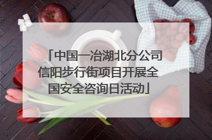 中国一冶湖北分公司信阳步行街项目开展全国安全咨询日活动