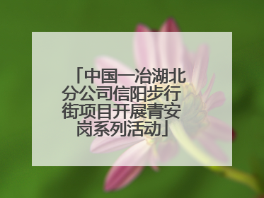 中国一冶湖北分公司信阳步行街项目开展青安岗系列活动